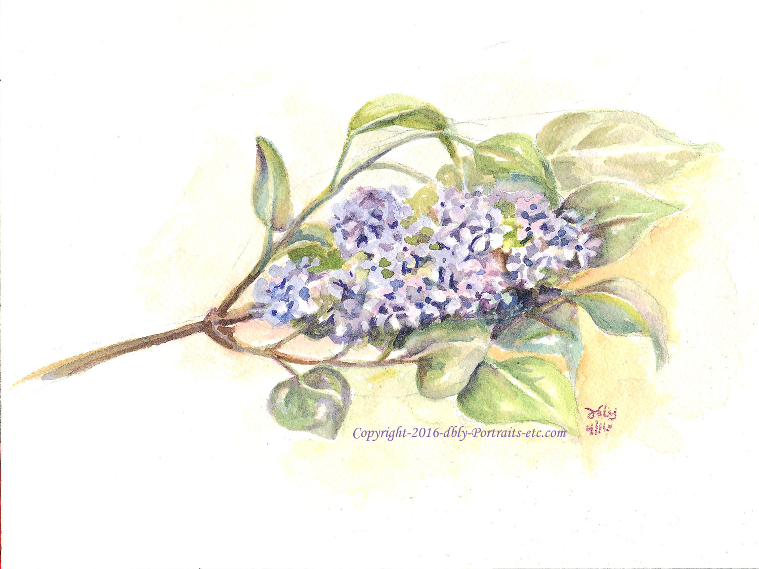 Lilac Sprig