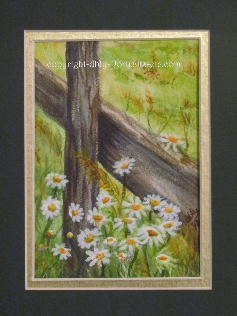 Daisies 1