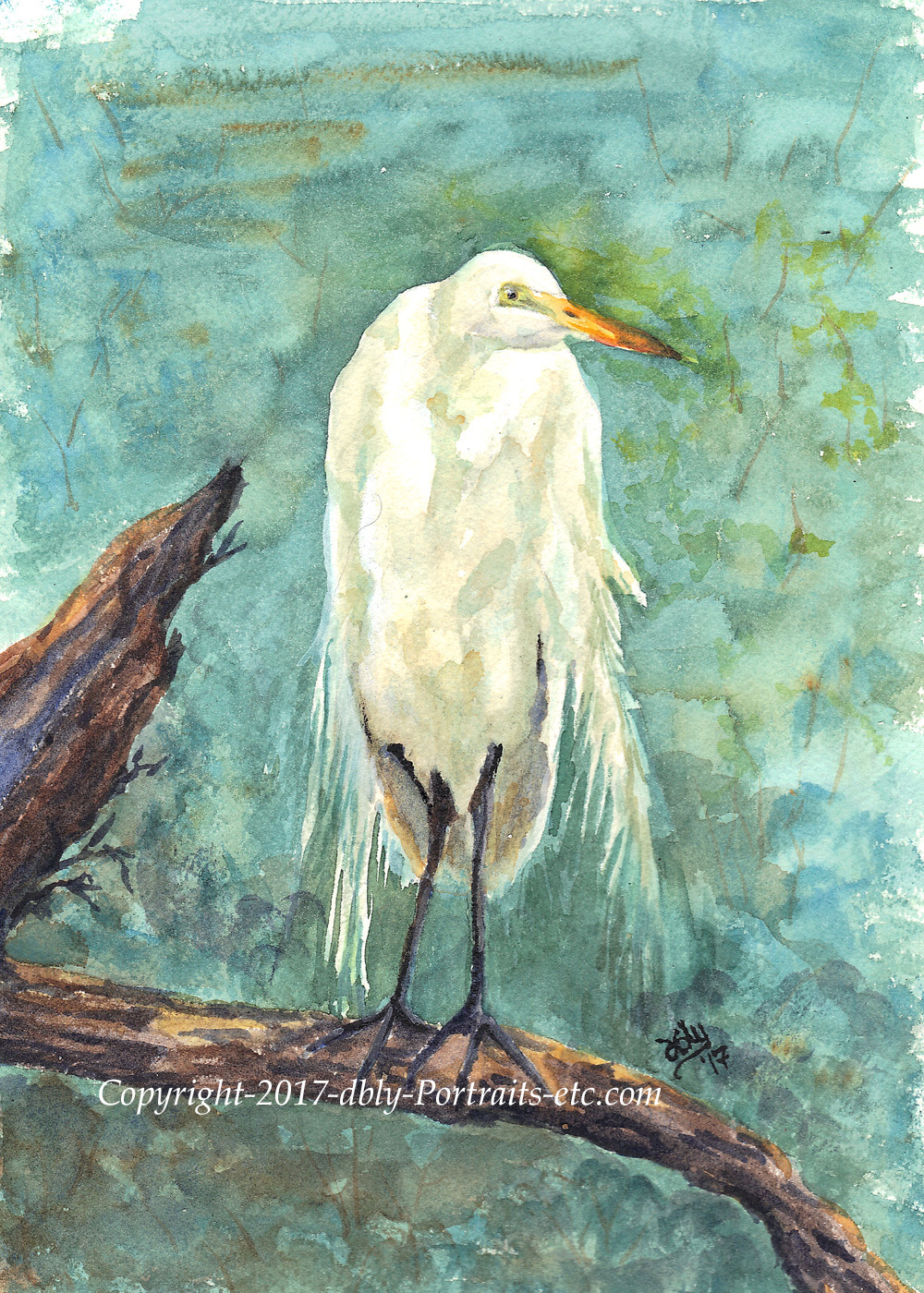 Egret in Tree