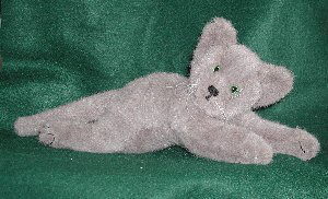 Cat 1