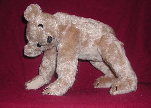 bear 1903 repro 1