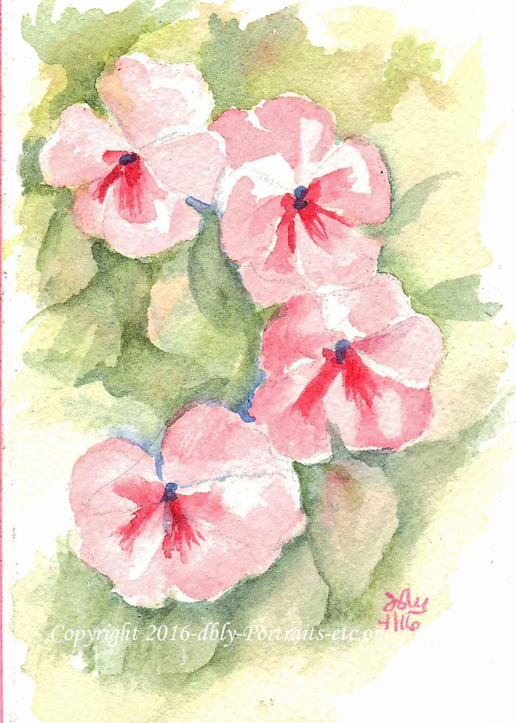 Pink Flowers